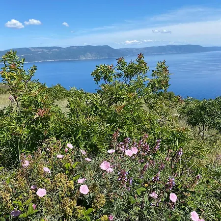 Castelina Villa Vicani