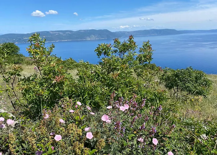 Castelina Villa Vicani